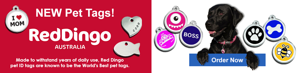 New RedDingo Pet Tags