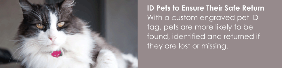 ID your pets to ensure their safe return