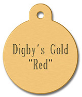 Large Brass Tag