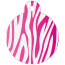 Animal Zebra  Pet Tags