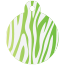 Animal Zebra  Pet Tags