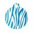 Animal Zebra  Pet Tags