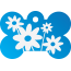 Floral Daisy Pet Tags