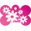 Floral Daisy Pet Tags