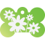 Floral Daisy Pet Tags