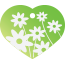 Floral Daisy Pet Tags