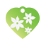 Floral Lily Pet Tags