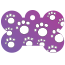 Paw Multi Paw Pet Tags