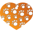 Paw Multi Paw Pet Tags