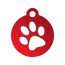 Paw Single Paw Pet Tags