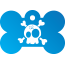 Punk Cartoon Skull Pet Tags