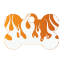Punk Flame Pet Tags
