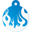Punk Flame Pet Tags