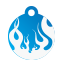 Punk Flame Pet Tags