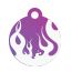 Punk Flame Pet Tags