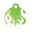 Punk Flame Pet Tags