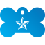 Punk Nautical Star Pet Tags