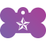 Punk Nautical Star Pet Tags