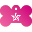 Punk Nautical Star Pet Tags
