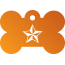 Punk Nautical Star Pet Tags