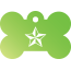 Punk Nautical Star Pet Tags