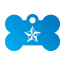 Punk Nautical Star Pet Tags