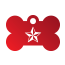 Punk Nautical Star Pet Tags