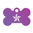 Punk Nautical Star Pet Tags