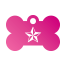 Punk Nautical Star Pet Tags