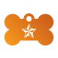 Punk Nautical Star Pet Tags