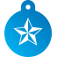 Punk Nautical Star Pet Tags