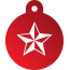 Punk Nautical Star Pet Tags