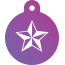 Punk Nautical Star Pet Tags