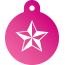 Punk Nautical Star Pet Tags