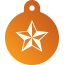 Punk Nautical Star Pet Tags