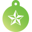 Punk Nautical Star Pet Tags
