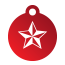 Punk Nautical Star Pet Tags
