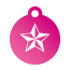 Punk Nautical Star Pet Tags