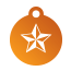 Punk Nautical Star Pet Tags