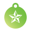Punk Nautical Star Pet Tags