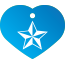 Punk Nautical Star Pet Tags