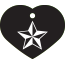 Punk Nautical Star Pet Tags