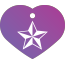 Punk Nautical Star Pet Tags