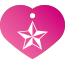 Punk Nautical Star Pet Tags
