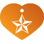 Punk Nautical Star Pet Tags
