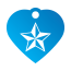 Punk Nautical Star Pet Tags