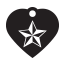 Punk Nautical Star Pet Tags