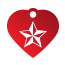 Punk Nautical Star Pet Tags