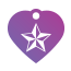 Punk Nautical Star Pet Tags