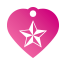 Punk Nautical Star Pet Tags